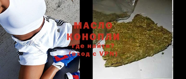 шишки Новодвинск