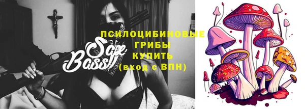 шишки Новодвинск