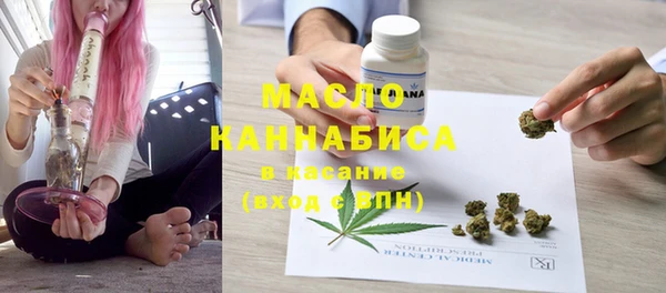 шишки Новодвинск