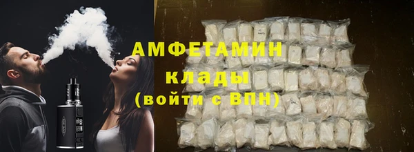 шишки Новодвинск