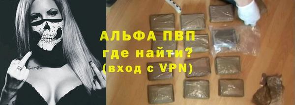 шишки Новодвинск
