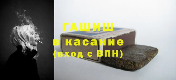 шишки Новодвинск