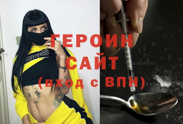 шишки Новодвинск