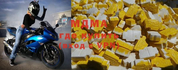 шишки Новодвинск