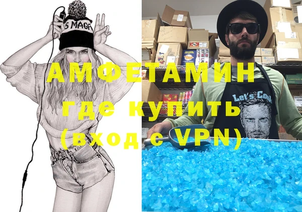 шишки Новодвинск