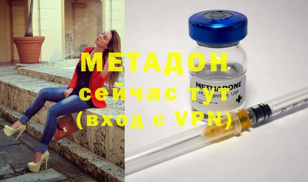 шишки Новодвинск