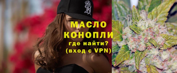 шишки Новодвинск